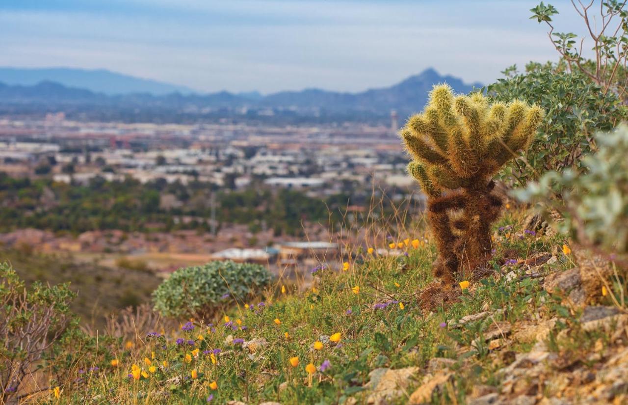 Raintree At Phoenix South Mountain Preserve Exteriör bild