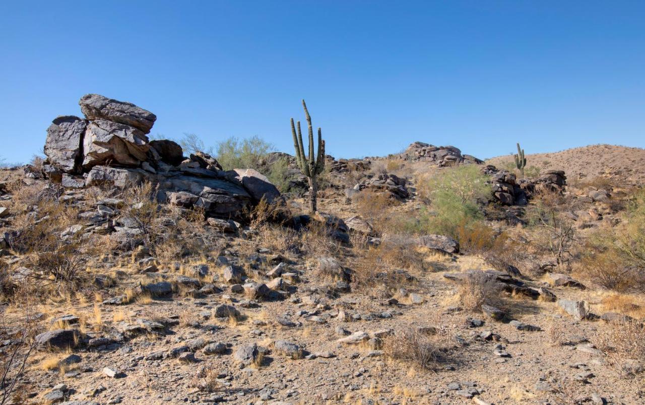 Raintree At Phoenix South Mountain Preserve Exteriör bild
