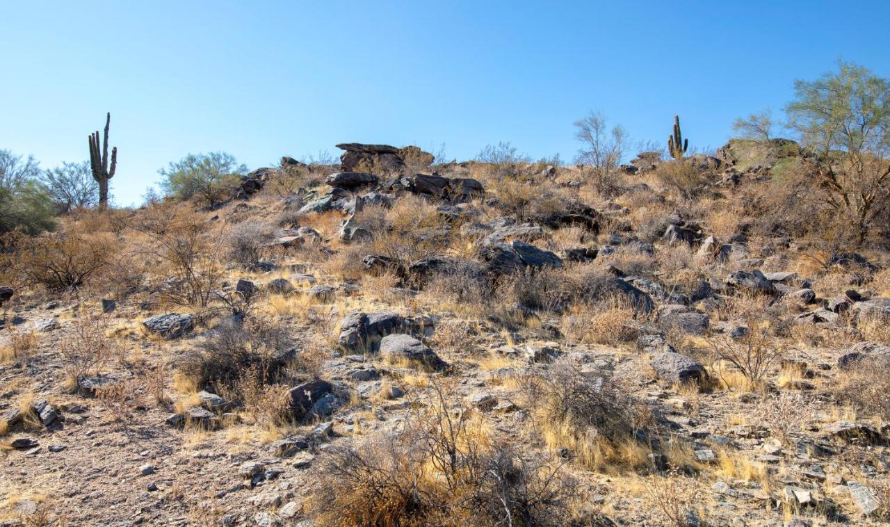 Raintree At Phoenix South Mountain Preserve Exteriör bild
