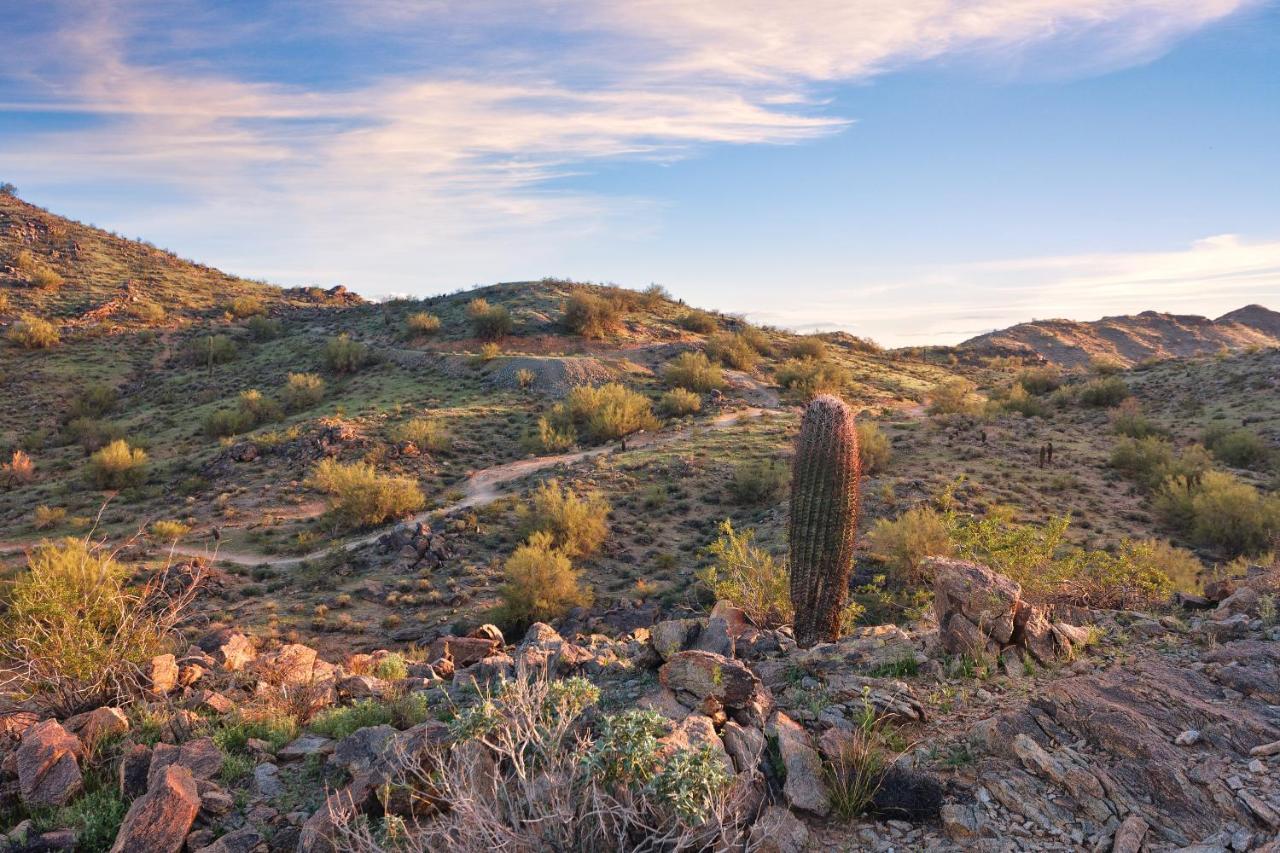 Raintree At Phoenix South Mountain Preserve Exteriör bild